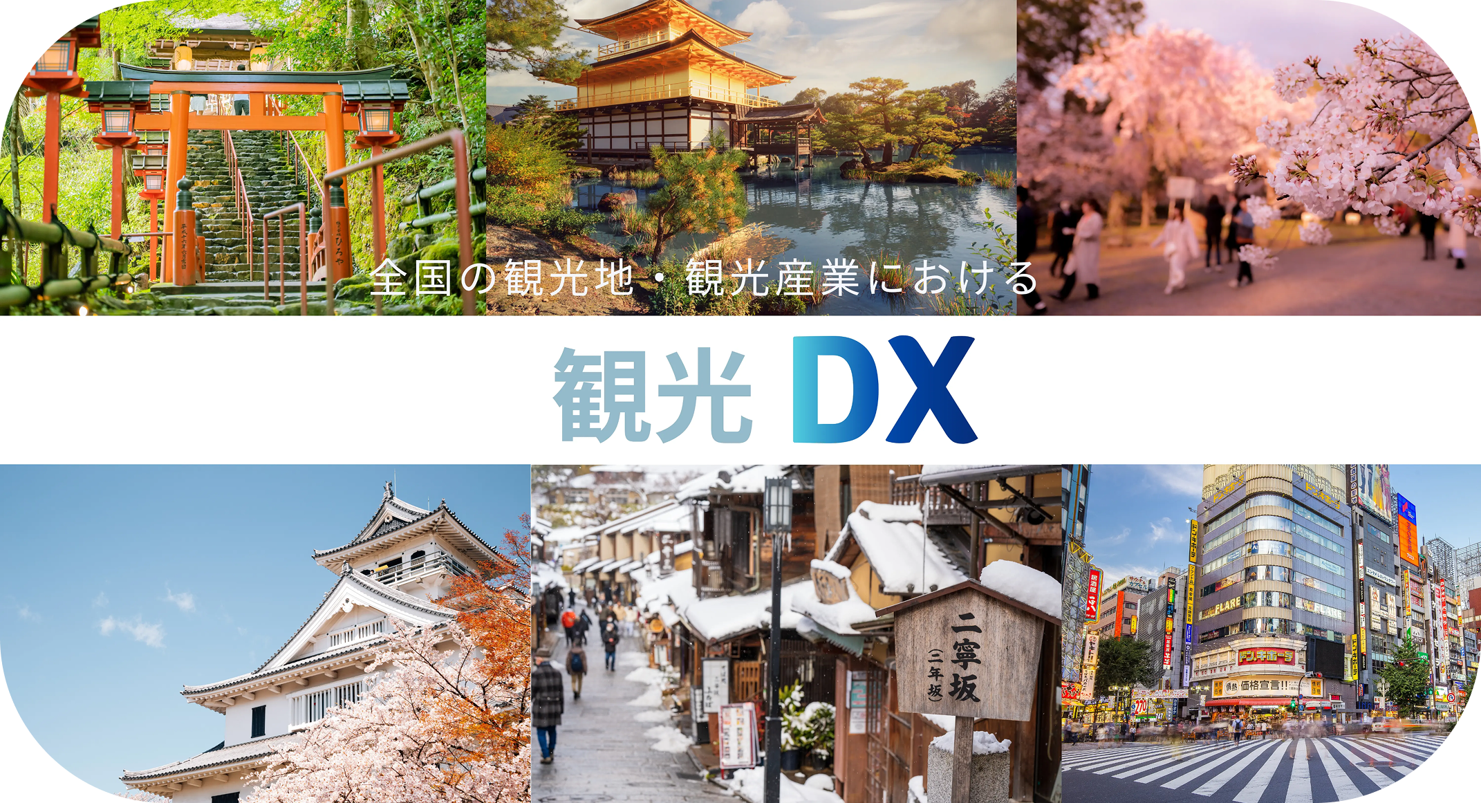 Professional with holographic interface